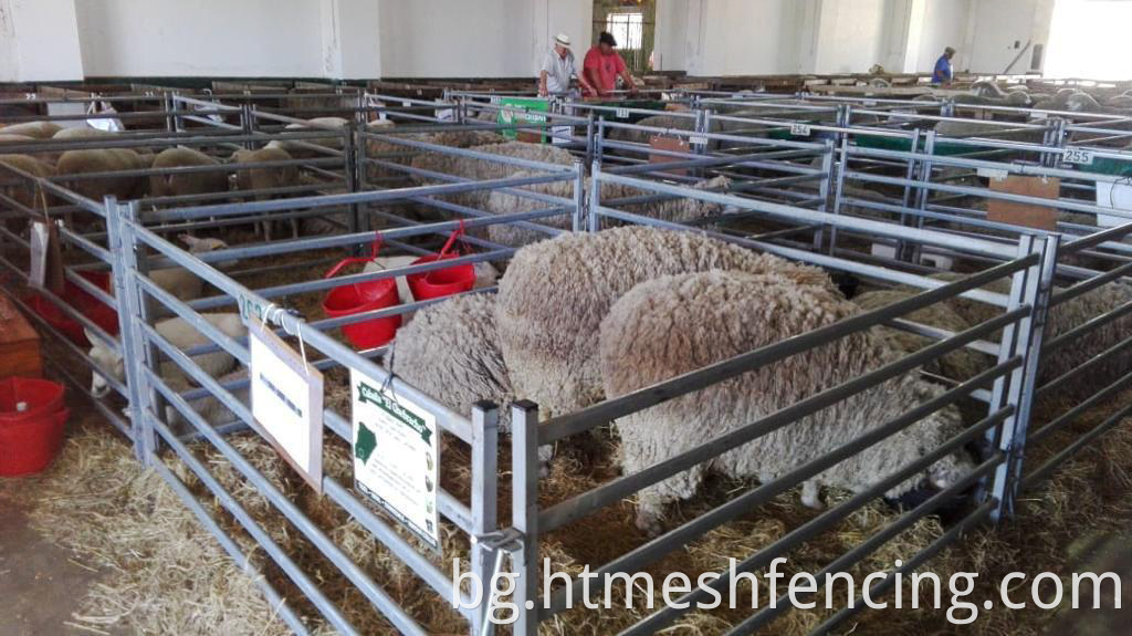 Тръбно животновъдна порта на овцете с блокиращи бримки, за да се обединят напълно заварени